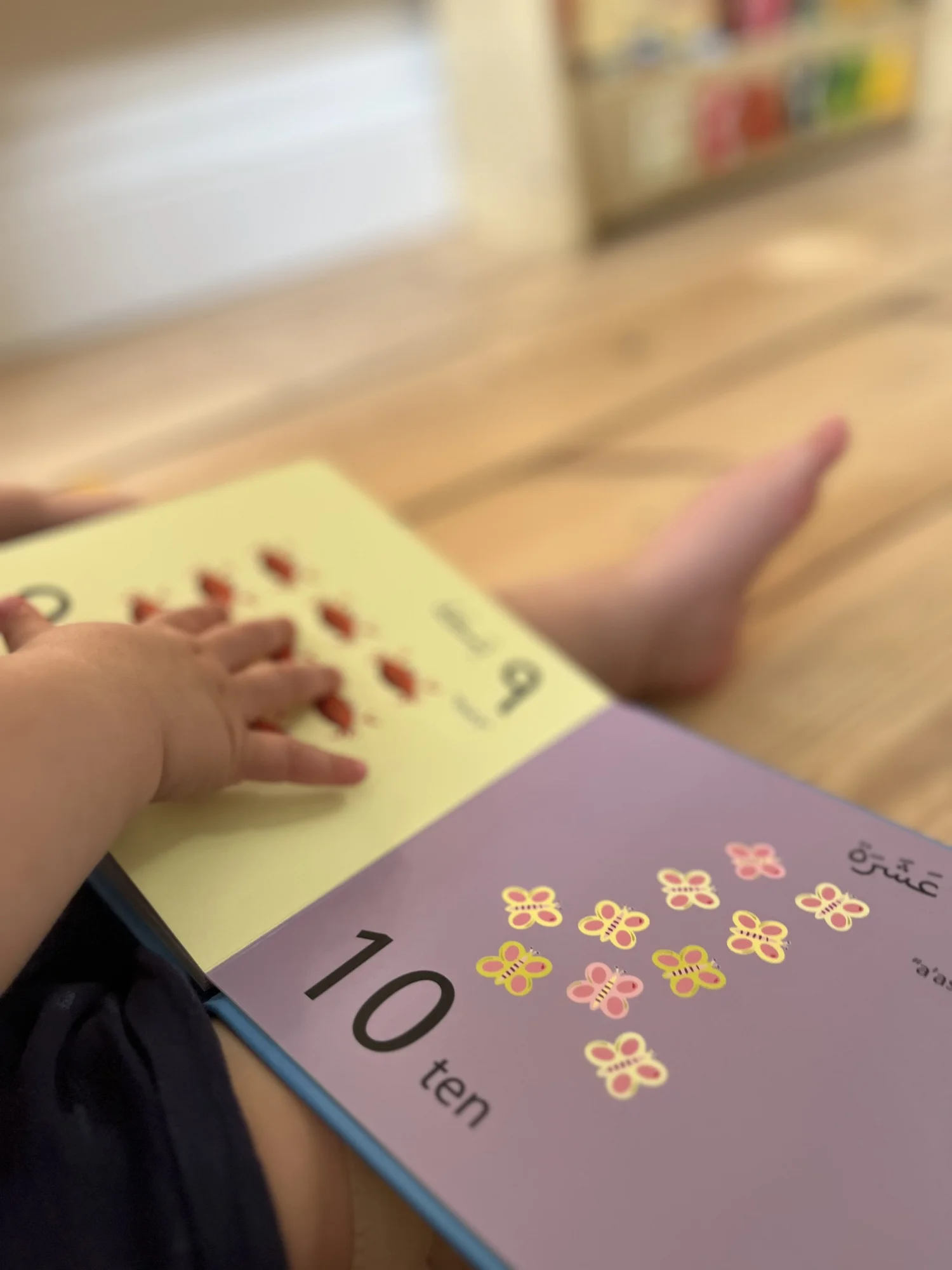 A small child pointing at the colourful illustrations in Count To Ten